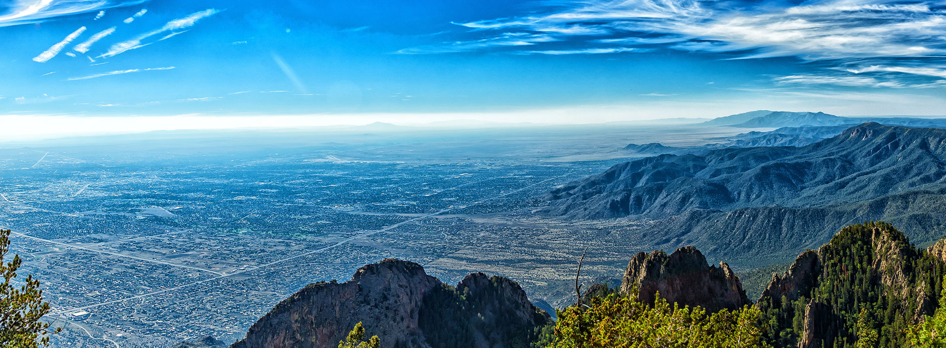 David Collette DMD MD